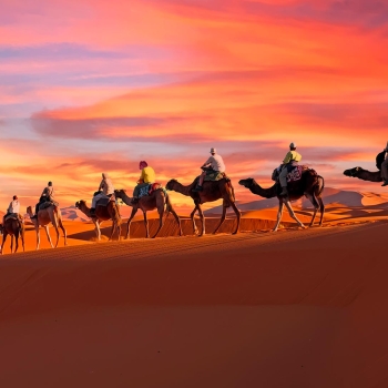 Magie du Maroc